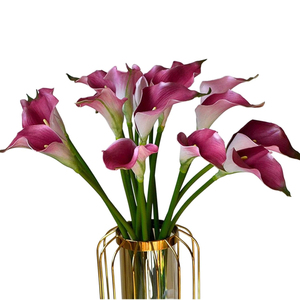 Fleurs artificielles Calla <span class=keywords><strong>Lilly</strong></span>, grand bouquet de 24,41 pouces, plantes à longues tiges, 1 pièce, pour la maison, la table à manger, les mariages, les fêtes, la décoration de jardin - Product Image 1