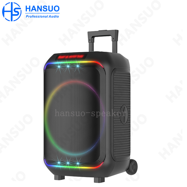 Single 12 Inch Media 40W High Power Portable Speaker HS-TS1220