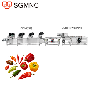 Ligne de lavage et de séchage automatique de piments (100 kg/h-1000 kg/h) pour usine de <span class=keywords><strong>sauce</strong></span> chili - Product Image 1
