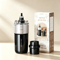 Nouveau Mixeur Portable Mini en Acier Inoxydable avec Bouteille de Jus Rechargeable par USB, Mixeur Portable Mini Juicer Blender