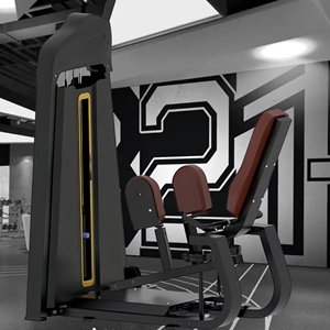 Shandong Lanbo nuova donna di fitness Esercizio Attrezzature Da Palestra Interno Esterno Coscia <span class=keywords><strong>Adduttori</strong></span>/Abductor FEMMINILE macchina di esercizio - Product Image 1