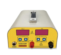 SUSAN-2030NP Tête d'onduleur ultrasonique IGBT CNC Haute puissance 12v Max 5000 W Booster de batterie