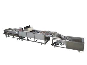 Máquina Clasificadora de Frutas Multifuncional y Duradera para Naranjas y Aguacates, Fabricada en China, para Clasificar Vegetales - Product Image 4