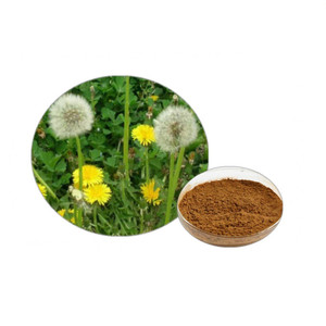 Cung cấp Nhà Máy bồ công anh chiết xuất từ rễ <span class=keywords><strong>5</strong></span>:1, 10:1, 20:1, 3% flavone bồ công anh chiết xuất bột - Product Image 4