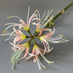 TJZJ01 Seda <span class=keywords><strong>Lycoris</strong></span> <span class=keywords><strong>Radiata</strong></span> Bombillas Araña Roja Lirios Equinox Flor Artificial Boda Día de San Valentín Fiesta Decoración - Product Image 6