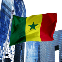 Özel Tasarım Çevre Dostu Dijital Baskılı Promosyon Pelerini 3*5 Feet Brezilya Senegal Tezahürat Bayrakları Senegal Ülke Bayrağı