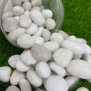 1kg Ciottoli <span class=keywords><strong>Bianchi</strong></span> Lucidi Decorativi del Fiume Yangtze <span class=keywords><strong>per</strong></span> Acquario, Vaso di Fiori, Paesaggistica, Riempitivo <span class=keywords><strong>per</strong></span> <span class=keywords><strong>Vasi</strong></span>, Decorazione da Giardino - Product Image 4