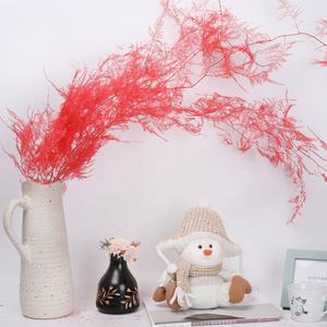 Matériaux d'artisanat de haute qualité, feuilles de fougère Ming séchées, fougère d'<span class=keywords><strong>asperge</strong></span> naturelle conservée pour la décoration de mariage - Product Image 3