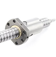 Vis à billes à haute teneur en plomb SFE2525, type à embout, écrou simple, 25x25mm, pour automatisation CNC ultra-rapide et découpe laser, directement de l'usine