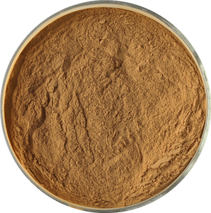 Polvo Concentrado <span class=keywords><strong>de</strong></span> Hongo Poplar Soluble Orgánico Natural <span class=keywords><strong>de</strong></span> Alta Calidad, Extracto <span class=keywords><strong>de</strong></span> Hongo Poplar - Product Image 5