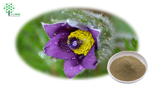 Extrato de Raiz de <span class=keywords><strong>Cyanotis</strong></span> Arachnoidea 95% UV Beta-ecdisterona Pó de Ecdisona - Product Image 4