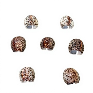 Demi-coquilles de cauris naturelles à motifs léopard pour l'artisanat DIY, la fabrication de bijoux ou la décoration de table, porte-serviettes, tendance du moment - Product Image 1