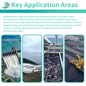 Produttore professionale di Geomembrane HDPE per progetti di ingegneria globale - Product Image 5