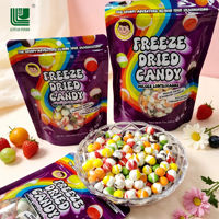 Approvisionnement direct usine OEM Bonbons durs lyophilisés halal aux saveurs de fruits pour enfants, en boîte, assortiment multicolore, snacks pour enfants