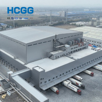 Edificio de Almacenamiento en Frío con Estructura de Acero Prefabricada, Almacén Refrigerado con Panel Aislante, Gran Vano, Instalación Rápida