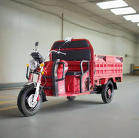 Triciclo Elettrico per Carichi Pesanti 1500W con Cassone da 1,6m, Semi-Chiuso, a 3 Ruote, per Logistica e Consegne