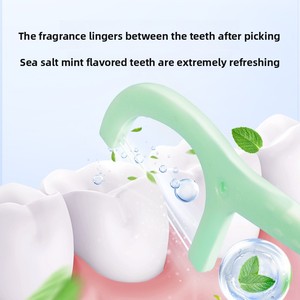 Namei Khoa Học Di Động Nha Khoa Flossers 99% Kháng Khuẩn Muối Biển Bạc Hà Lanh Twine Sợi Đôi Chủ Đề 60-Đếm Cho Nhà Du Lịch Sử Dụng - Product Image 2
