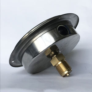 다이얼 크기 100mm 실리콘 오일 압력 게이지 범위 250kg/<span class=keywords><strong>cm2</strong></span> 3500psi - Product Image 4