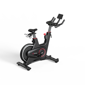 Bicicleta deportiva magnética para interiores, equipo de gimnasio para ejercicio, bicicletas giratorias para uso doméstico, hechas de acero - Product Image 2