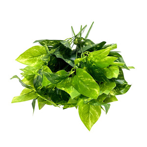 <b>Artificial</b> Pothos Plant 7-Forked Single <b>Stem</b> 30cm-100cm High Simulation Leaves Outdoor Indoor Desktop Decoration - Product Image 3
