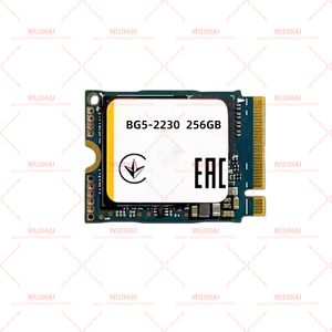 Disque dur portable M.2 SSD pour caméra, carte CFE BG5-2230 256 Go - Product Image 2
