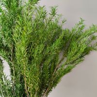 Rangkaian Bunga Kering Emas Berlapis Abadi, Eucalyptus Diawetkan, Aksen Dekoratif, Bahan Aromaterapi, Untuk Penggunaan Dalam Ruangan