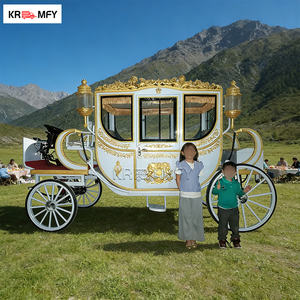 Carruaje de Caballos Eléctrico para Turismo, Estilo Clásico de Lujo, Material de Hierro, para Bodas, Modelo Royal Cinderella Garden - Product Image 6