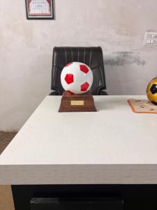Urne dorée en aluminium de haute qualité avec plaque signalétique en laiton de conception de style football nouveau design crémation pour adultes meilleures fournitures funéraires - Product Image 5