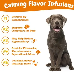 Dogs Calming Supplement Ashwagandha Melatonin L-Theanine L-Tryptophan Stress Separation Calming Flavor Infusions