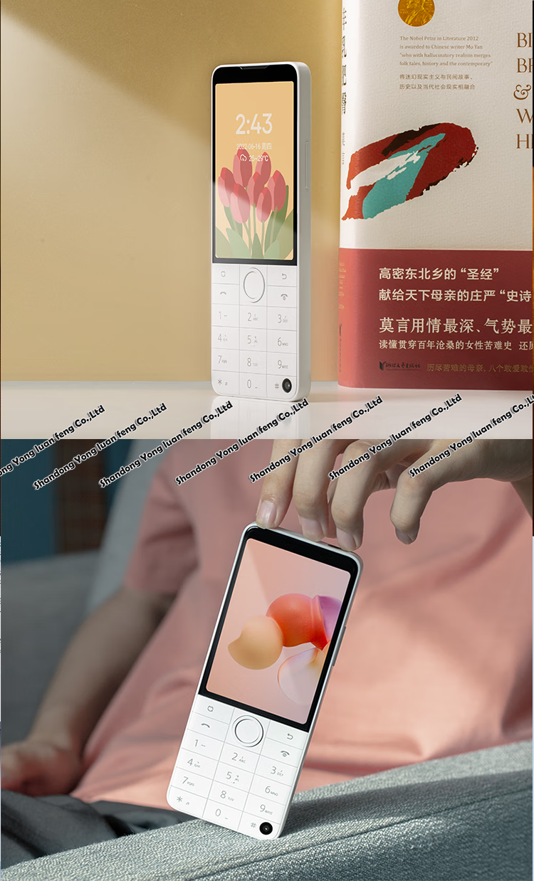 Google利用可能 グローバル版 Duoqin F22 Pro Android 12 スマート
