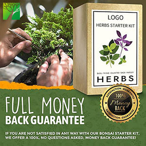 Venta al por mayor Cultive su propia albahaca Cilantro Perejil Salvia Tomillo <span class=keywords><strong>2022</strong></span> Kit de crecimiento completo Juego de cultivo de plantas - Product Image 2