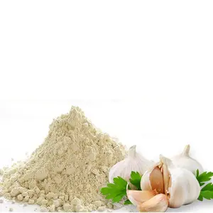 Food Flavorings & Flavors Garlic powder used for food