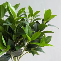 Plante Artificielle de Qualité Écologique Légère, Tiges de Verdure, Feuille de Citron, Branche à 3 Branches, pour Composition Florale Maison, Hôtel, Mariage