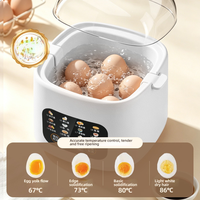 Cuiseur à œufs transfrontalier, appareil domestique multifonctionnel entièrement automatique pour la cuisson à la vapeur des œufs à la coque, des œufs onsen