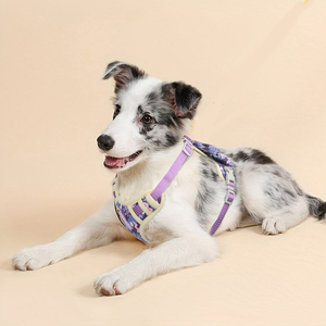 Pabrik desain baru rompi anjing mewah <span class=keywords><strong>Harness</strong></span> - <span class=keywords><strong>OEM</strong></span> kustom Padded reflektif, aman hewan peliharaan nyaman perlengkapan - Product Image 3