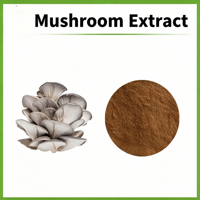 Poudre de champignon Chaga, extrait végétal, 50% de polysaccharides, extraction liquide-solide, qualité alimentaire, avec acide ursolique