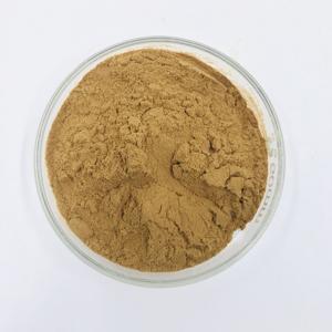 Extrait de pollen de Typhae (Puhuang/Cattail) en <span class=keywords><strong>poudre</strong></span> 10:1 20:1, produit phare - Product Image 3