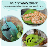 Habitat moderne écologique pour grenouilles arbres, reptiles, amphibiens, petites plantes en plastique réalistes, boîte pour animaux de compagnie, décoration paysagère