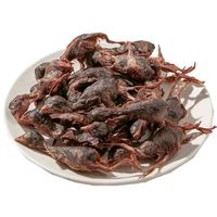 Friandises Naturelles Lyophilisées pour Chiens et Chats à Base de Caille, 100% Sans Ingrédients Ajoutés, Riches en Protéines, Vente en Gros Direct Usine