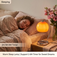 Lampe chauffe-cire en verre Globe, personnalisable en usine, différentes tensions de prise, lampe à bougie d'aromathérapie pour décoration intérieure