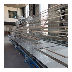 <span class=keywords><strong>Poulailler</strong></span> à 3/4 niveaux de type A pour 96/120/128/160 poules pondeuses, cage à poules avec équipement d'alimentation automatisé pour poules pondeuses - Product Image 1