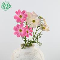 Nouvel Arrivage – Fleur Artificielle de Cosmos Mexicain en Soie de Haute Qualité, 60 cm, à 2 Têtes, pour la Paix et l'Amour Pur, Décoration Intérieure et Mariages