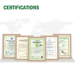 天然キノコ粉末キングオイスターマッシュルームエキスキングオイスターマッシュルーム多糖健康食品サプリメント - Product Image 6