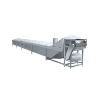 Industriële Voedselverwerkende Apparatuur/Fruit Blancheren Machine/Banaan Blancheren Machine