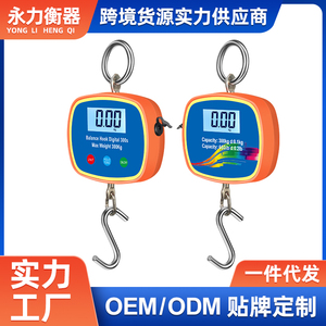 Échelle de grue électronique <span class=keywords><strong>GYS</strong></span> Ocs de haute qualité Mesure de compression Échelle de grue électronique industrielle - Product Image 2