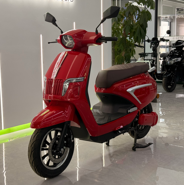 New Design Reliable Dual Seat Touring Electric Motorcycle 72V24AH 1000W for City Commuter