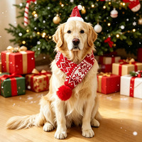 Ensemble chapeau et écharpe de Noël pour animaux de compagnie, chapeau de Père Noël tricoté, écharpe à flocons de neige, accessoires de costume festifs chauds pour chat, petit chien, chiot