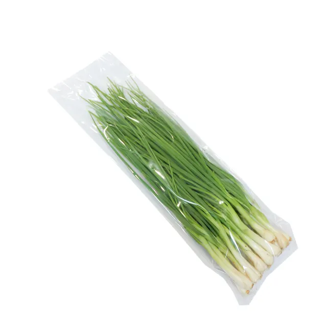 Spring Onion Fresh Vegetables other Food Health Care Products Best Selling Product from Thailand