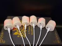 Bougies chauffe-plat LED 6 pièces en gros avec minuterie à distance scintillement réglable décoration de Noël et d'Halloween bougies rechargeables