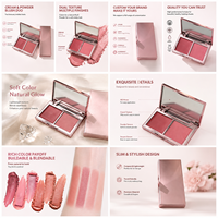 Fard à joues crème en poudre minérale, formule waterproof, légère, lisse, haute pigmentation, fini mat pour le visage, vente en gros, marque privée